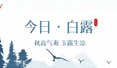 ┠青島固德┨仲秋微涼，白露為霜~