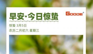 ┠青島固德┨春風如沐驚蟄至，春雷炸響萬物生